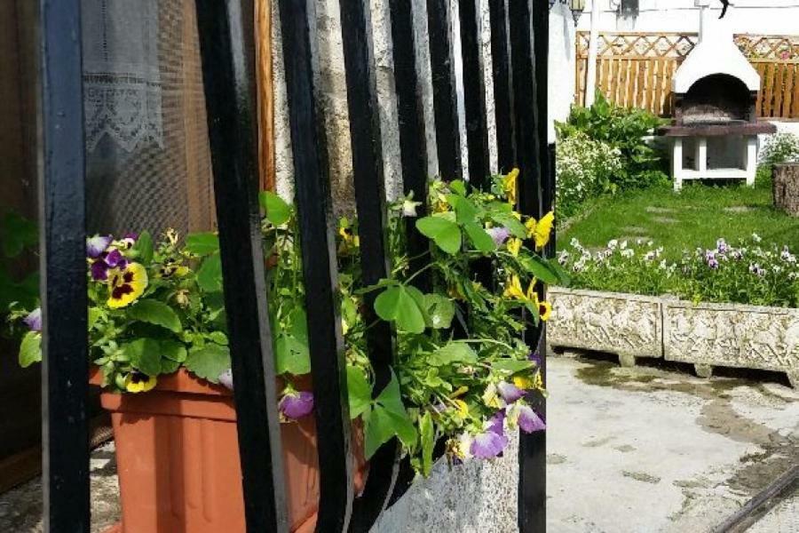 Casa Rural Zubiarena Satrustegui Екстер'єр фото